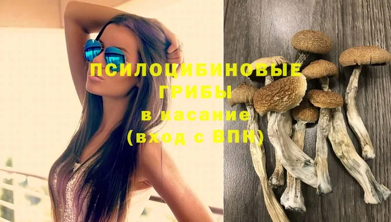 Галлюциногенные грибы MAGIC MUSHROOMS  Гаврилов-Ям 